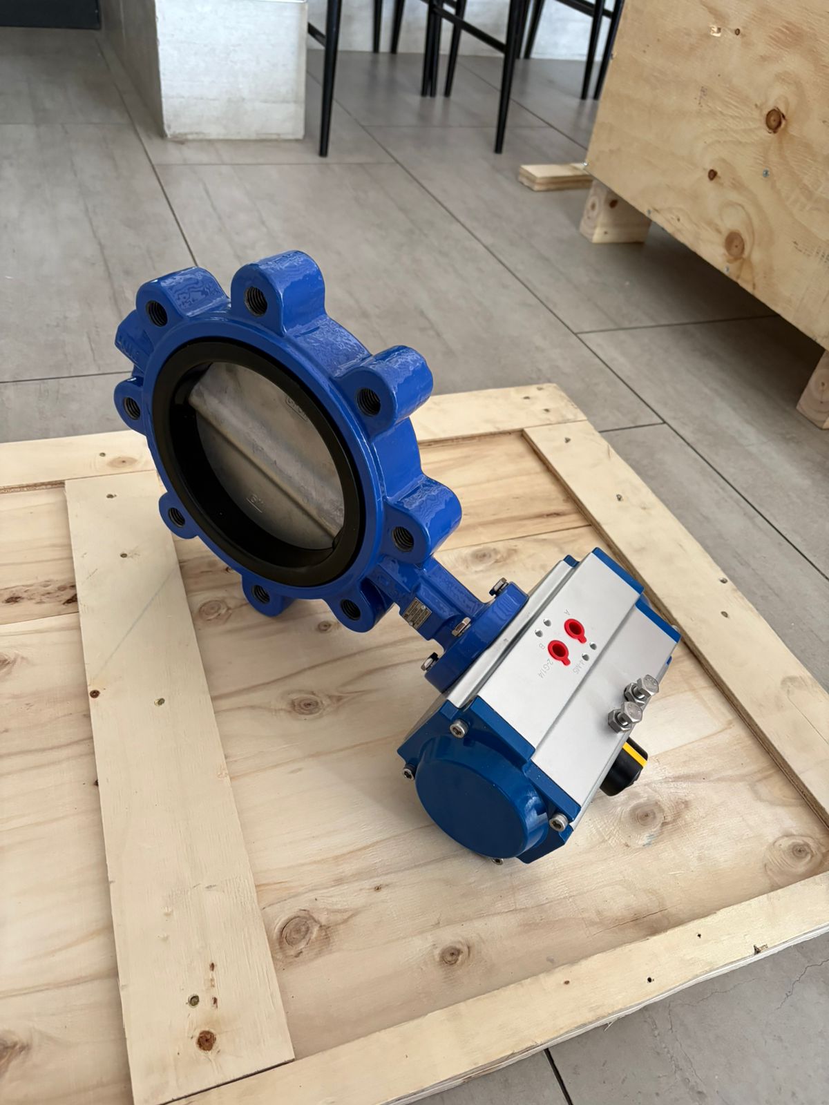 WhatsApp Image 2025-12-07 at 21.37.53