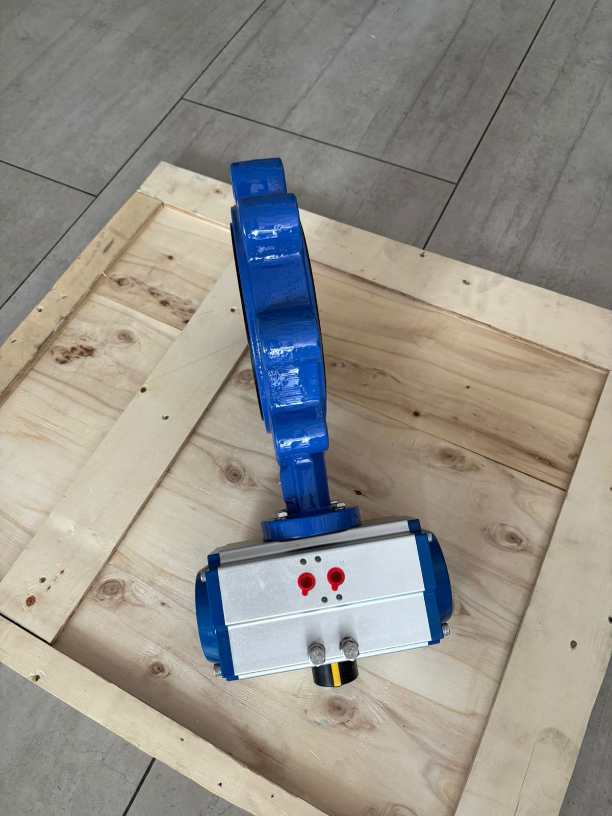 WhatsApp Image 2025-12-07 at 21.37.54