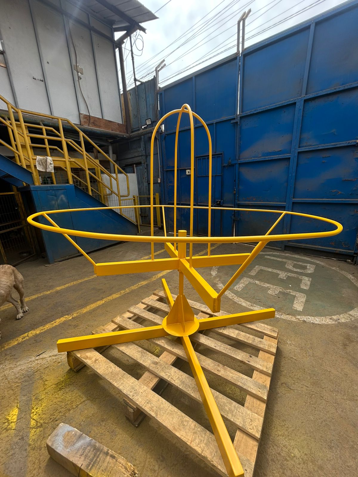 WhatsApp Image 2025-10-30 at 14.53.01