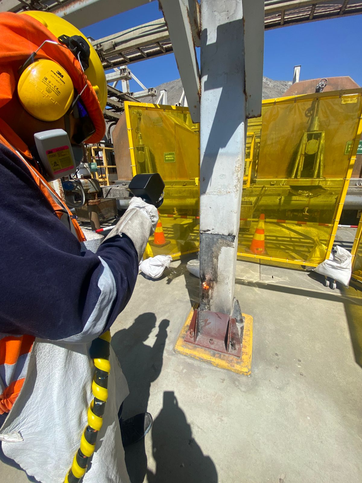 WhatsApp Image 2026-02-19 at 17.51.41